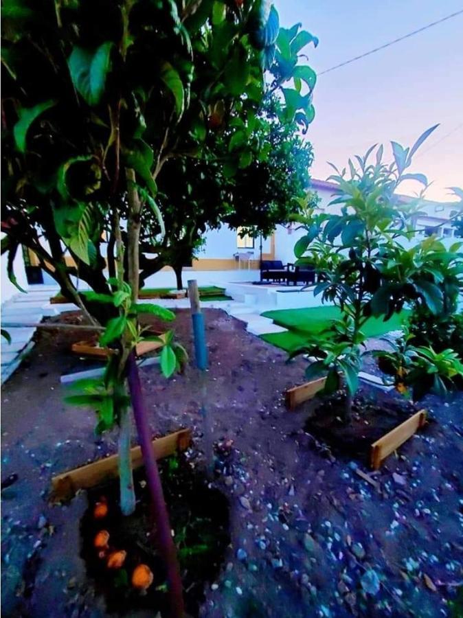 Casa Da Laranjeira Villa Vale Covo  Eksteriør bilde